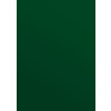 Karton do bindowania A4 błyszczący - chromolux zielony 250g Titanum