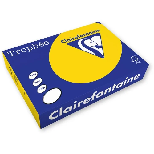 Papier kolorowy A4 kolorowy słonecznikowy 500k. 80g Trophee (xca41978)
