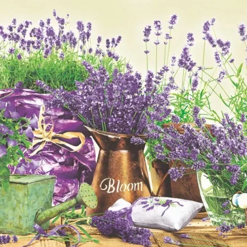 Serwetki mix bibuła [mm:] 330x330 Pol-mak (SL og)