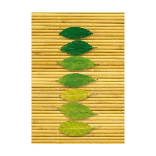 Brulion A6 64k. krata Kreska