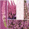 Serwetki mix bibuła [mm:] 330x330 Pol-mak (Sd)