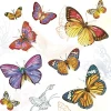 Serwetki mix bibuła [mm:] 330x330 Pol-mak (Sd)