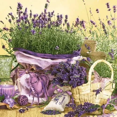 Serwetki mix bibuła [mm:] 330x330 Pol-mak (Sd)
