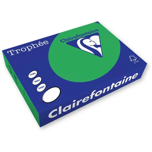 Papier kolorowy A4 1991 zielony 500k. 80g Trophee (xca41991)