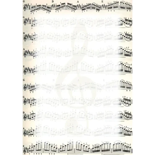 Dyplom A4 Nuty 170g Galeria Papieru (213317)