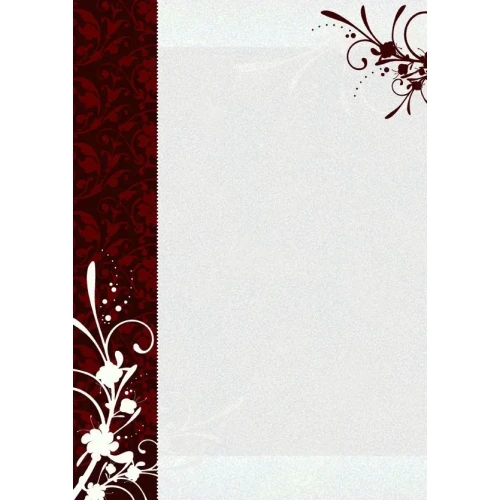 Dyplom A4 finezja 170g Galeria Papieru (211817)