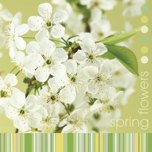 Serwetki wiosna mix bibuła [mm:] 330x330