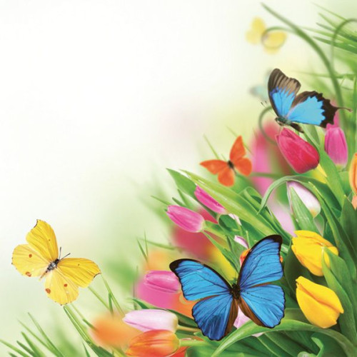Serwetki wiosna mix bibuła [mm:] 330x330