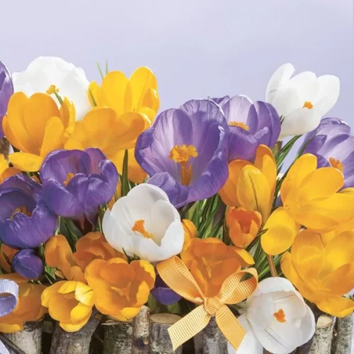 Serwetki wiosna mix bibuła [mm:] 330x330