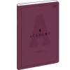 Zeszyt A4 ACADEMY 60k. 90g krata Interdruk (5902277299222)