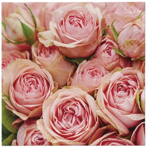Serwetki Lots of Roses miks bibuła [mm:] 330x330 Paw (TL120300)