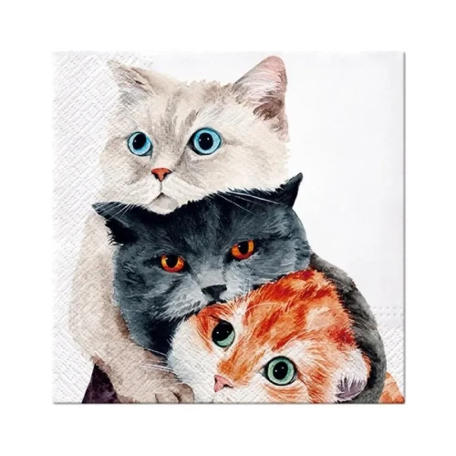 Serwetki Lunch Better Together mix nadruk bibuła [mm:] 330x330 Paw (SDL131500)