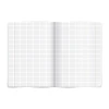 Zeszyt A5 fizyka 60k. 80g krata [mm:] 150x210 TOP-2000 (400160589)