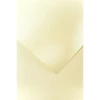 Papier ozdobny (wizytówkowy) A4 holland kremowy kremowy 230g Galeria Papieru (200502)