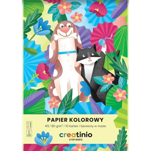 Papier kolorowy A5 Creatinio mix 80g Top 2000 (400176683)