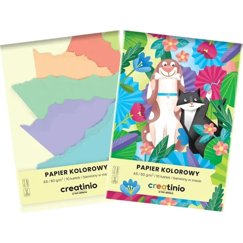 Papier kolorowy A5 Creatinio mix 80g Top 2000 (400176683)