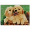 Zestaw kreatywny Diamentowa mozaika 30x40cm Psy 2 Flamingo Line (TYAB26269)