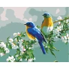 Zestaw kreatywny Malowanie po numerach 40x50cm Ptaki Flamingo Line (FLG019-01)