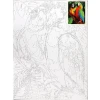 Zestaw kreatywny Malowanie po numerach 30x40cm Papugi Flamingo Line (FSY287)