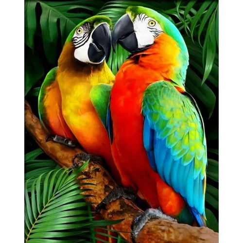 Zestaw kreatywny Malowanie po numerach 30x40cm Papugi Flamingo Line (FSY287)