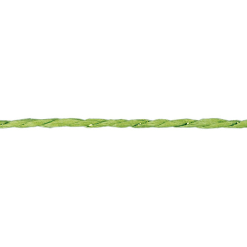 Sznurek Craft-Fun Series papierowy 10m Titanum (24BR0201-15（green))