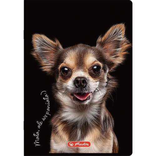 Zeszyt A5 Crazy Animal 60k. 70g linia Herlitz (400196838)
