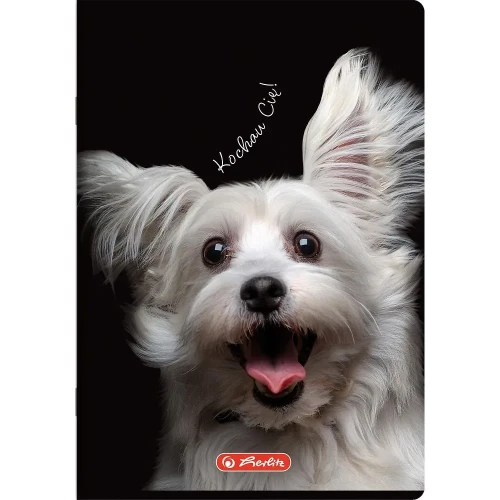 Zeszyt A5 Crazy Animal 60k. 70g linia Herlitz (400196838)