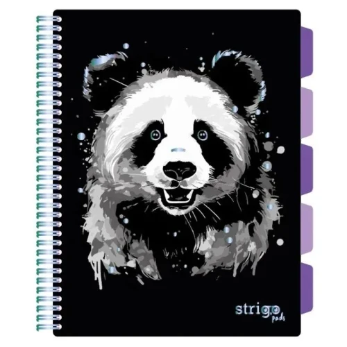 Kołozeszyt (kołonotatnik) A4 PANDA 100k. 80g krata Strigo (PADS021)