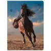 Zeszyt A5 WILD HORSES 32k. 70g krata Interdruk
