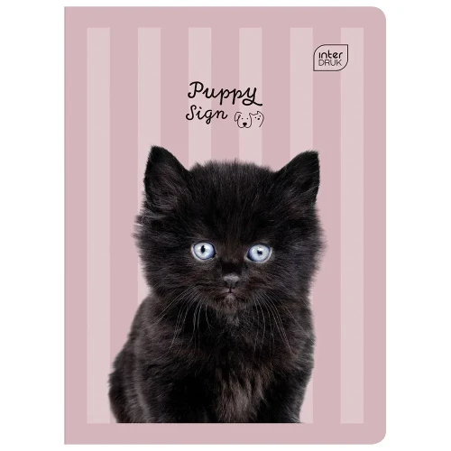 Zeszyt A5 PUPPY SIGN 32k. 70g linia kolor Interdruk