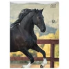 Zeszyt A5 WILD HORSES 32k. 70g linia kolor Interdruk