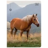 Zeszyt A5 WILD HORSES 32k. 70g linia kolor Interdruk