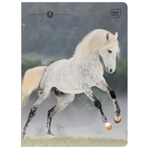 Zeszyt A5 WILD HORSES 32k. 70g linia kolor Interdruk