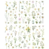 Naklejka (nalepka) Craft-Fun Series Stokrotki foliowe Titanum (25MD004)