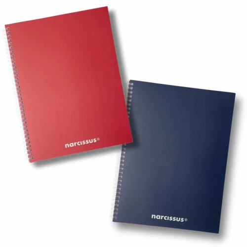 Notes (notatnik) A4 Swing Mono 80k. krata Narcissus