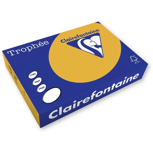 Papier kolorowy A4 brązowy wielbłądzi 500k. 80g Trophee (xca41879)