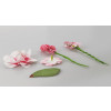 Ozdoba papierowa Craft-Fun Series kwiaty Titanum (25YX0902-7)