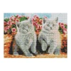 Zestaw kreatywny Diamentowa mozaika 30x40cm Koty brytyjskie Flamingo Line (1(90))