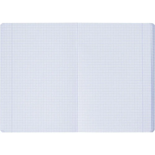 Zeszyt A5 Esse 2+1 60k. 90g krata Oxford (100302236)