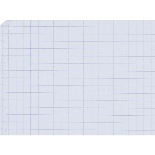 Zeszyt A5 Esse 2+1 60k. 90g krata Oxford (100302236)