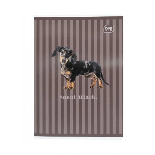 Zeszyt A5 PUPPY SIGN 60k. 70g krata Interdruk (ZE60#PS)