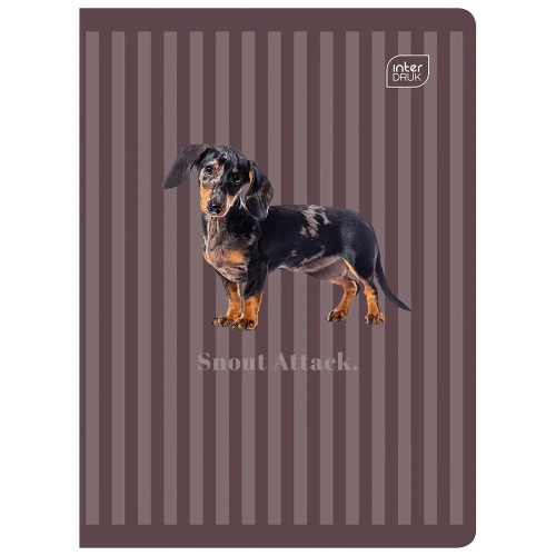 Zeszyt A5 PUPPY SIGN 60k. 70g krata Interdruk (ZE60#PS)