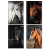 Zeszyt A5 Wild Heart 60k. 70g krata Unipap