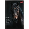 Zeszyt A5 Wild Heart 60k. 70g krata Unipap