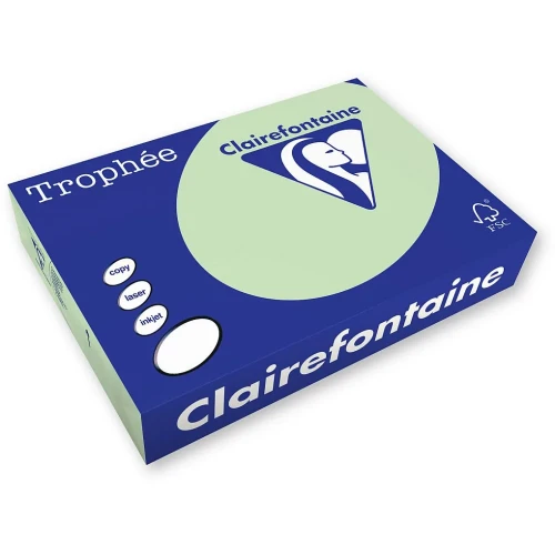 Papier kolorowy A4 kolorowy zielony 500k. 80g Trophee (xca41975)