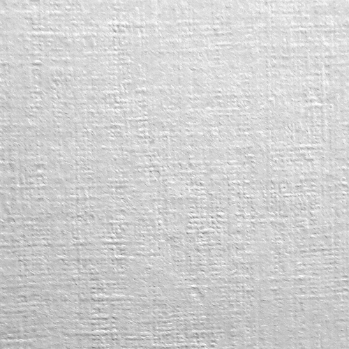 Papier ozdobny (wizytówkowy) A4 biały 246g Protos