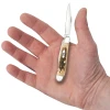Scyzoryk Case Peanut SS Amber Bone