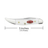 Nóż Case SparXX Small Texas Toothpick Wht