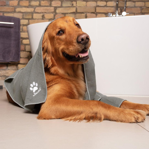 Ręcznik z mikrofibry dla zwierząt Vileda PET PRO XL-10691377