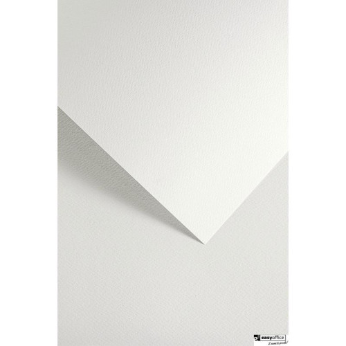 Karton ozdobny SAWANNA biały (20) 200gm2 204801 ARGO